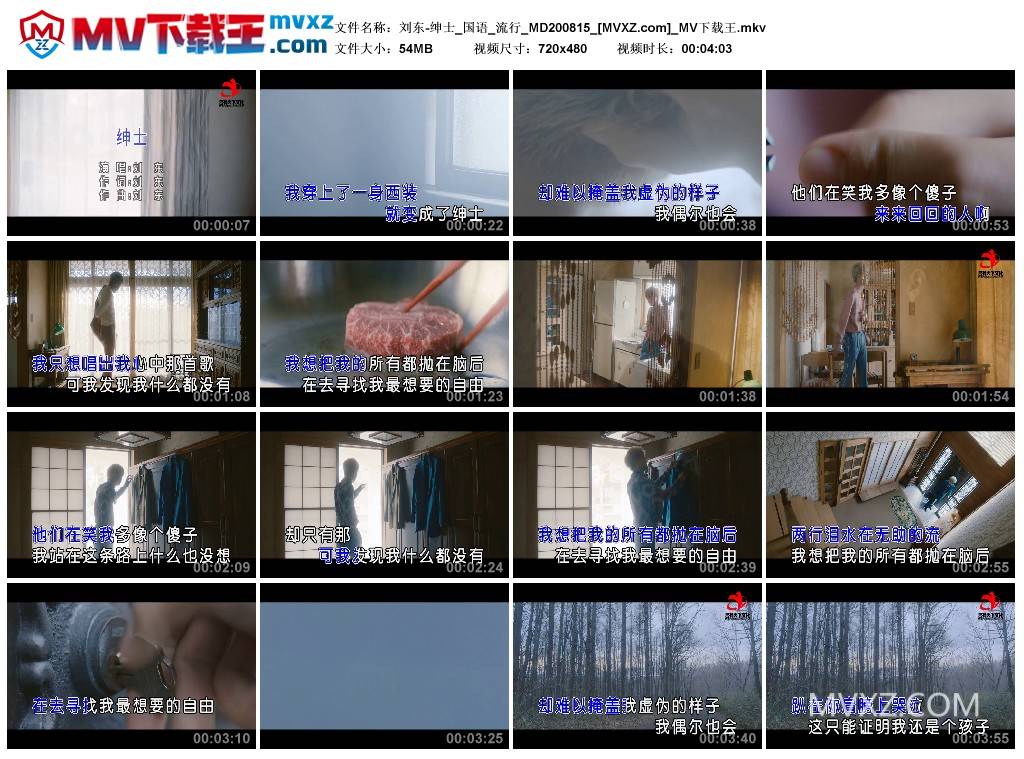 刘东-绅士_国语_流行_MD200815